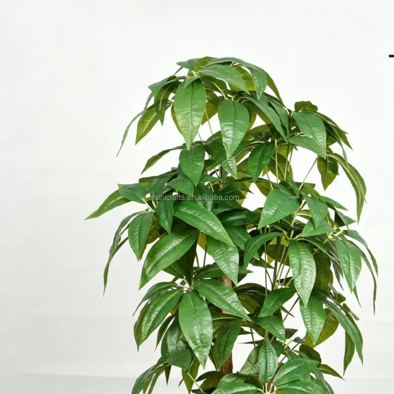 Gorąca Wyprzedaż: Sztuczne Drz – Bonsai Garden For Sale recenzja i cena