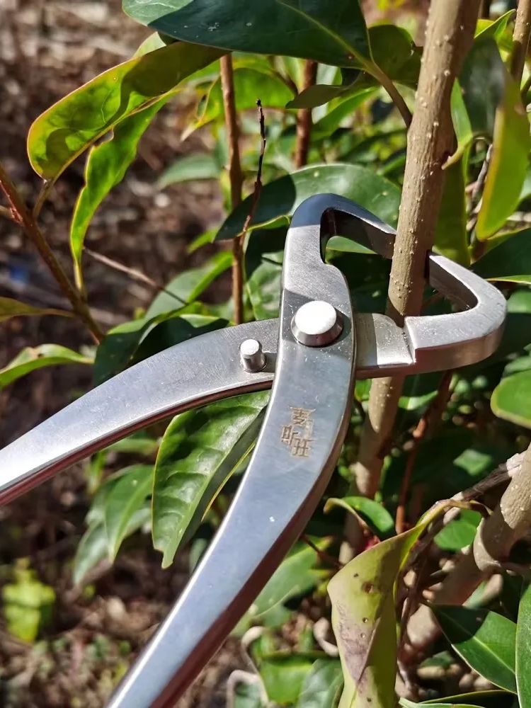 Profesjonalny zestaw narzędzi  – Bonsai Tool Set recenzja i cena