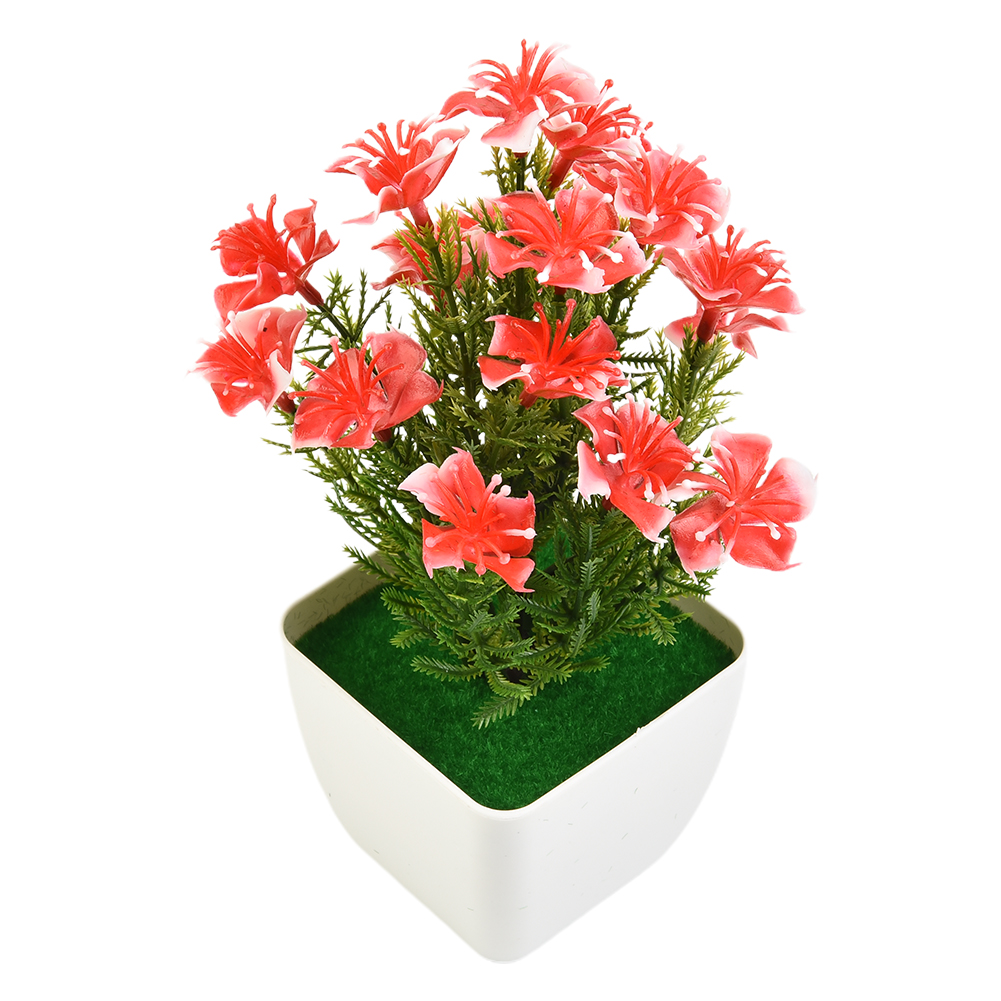 Gorąca wyprzedaż! Nowe akcesor – Bonsai Garden For Sale recenzja i cena