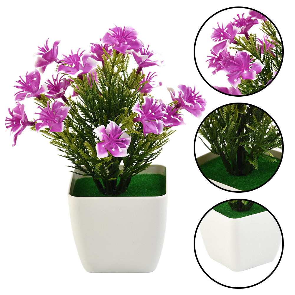 Gorąca wyprzedaż! Nowe akcesor – Bonsai Garden For Sale recenzja i cena