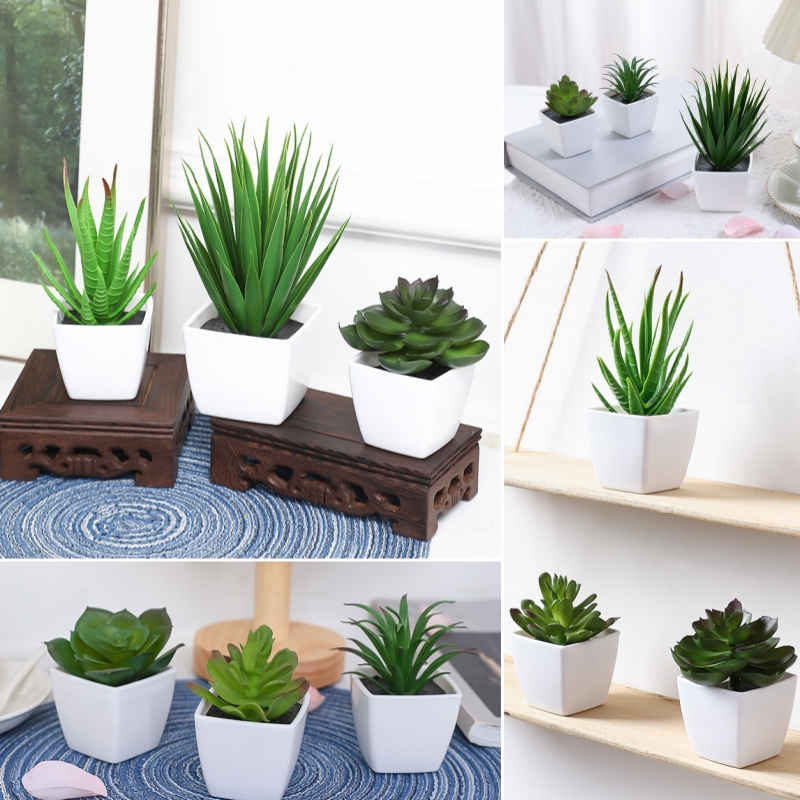 (Zestaw 3 szt.) Symulowane min – Bonsai Garden Mini recenzja i cena
