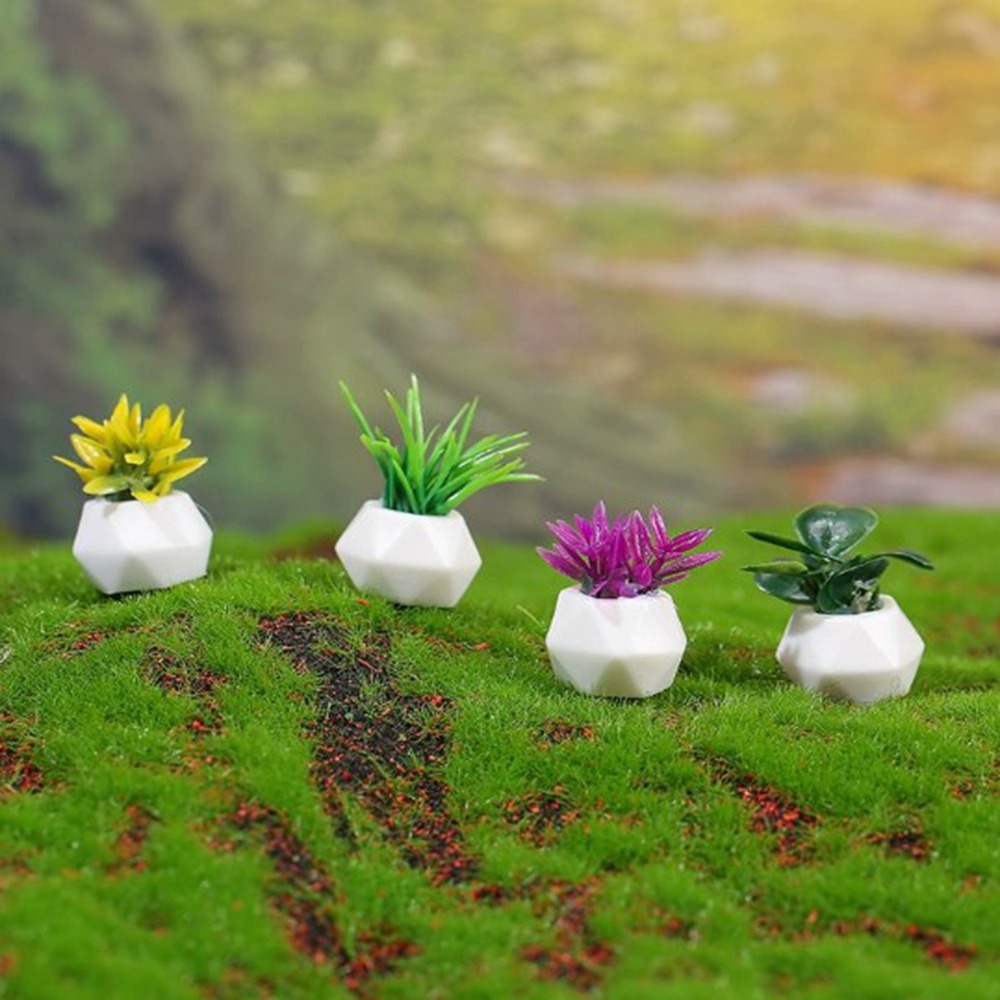 Miniaturowa doniczkowa roślina – Bonsai Garden Mini recenzja i cena