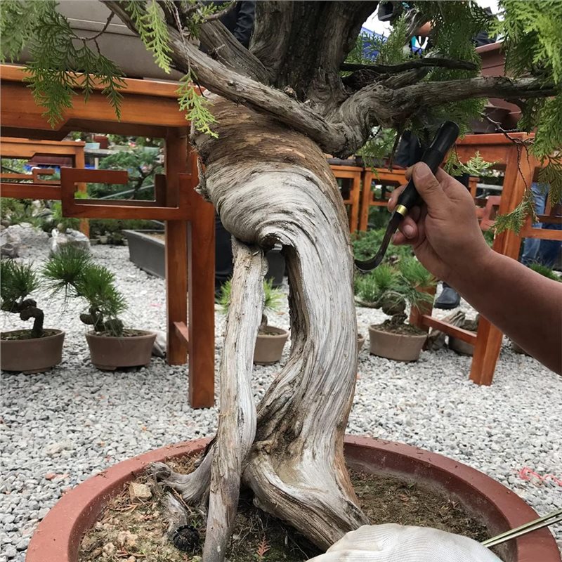 Zestaw narzędzi do bonsai A74E – Bonsai Tool Set recenzja i cena