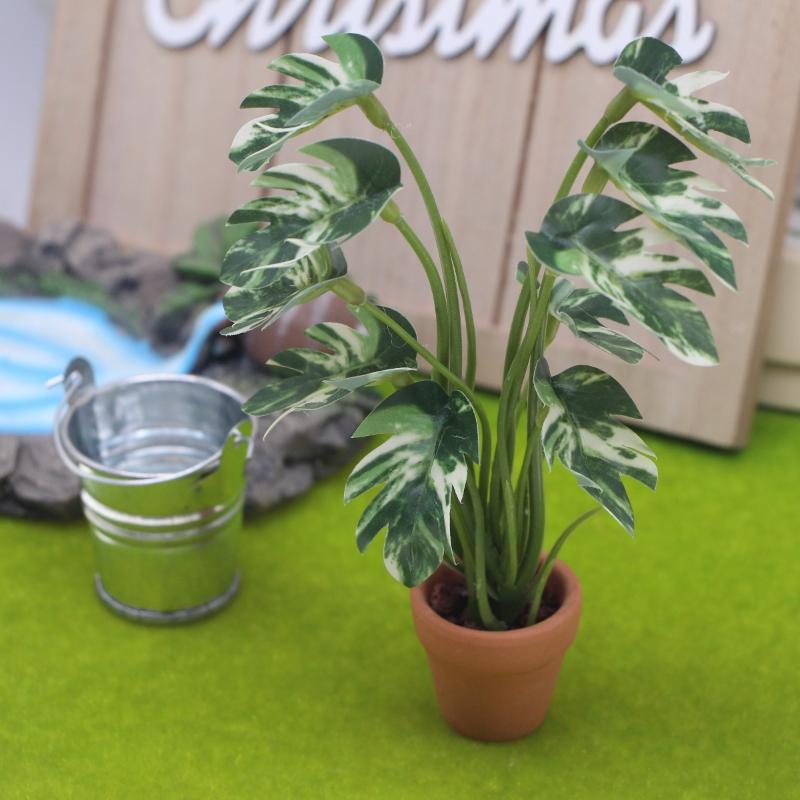 Nowa Wyprzedaż 1/12 Domek dla  – Bonsai Garden For Sale recenzja i cena