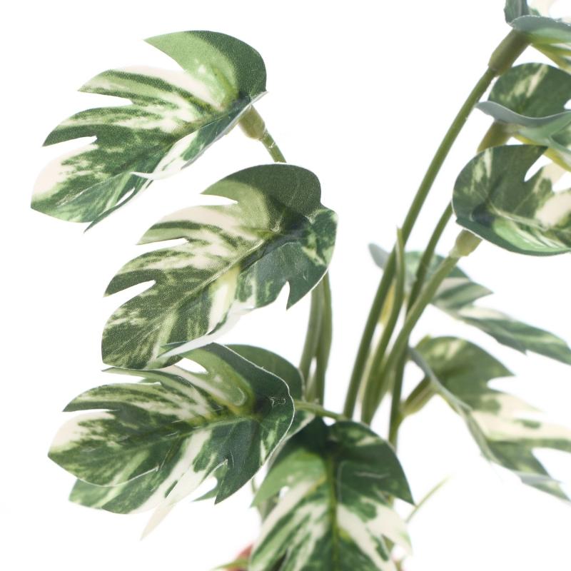 Nowa Wyprzedaż 1/12 Domek dla  – Bonsai Garden For Sale recenzja i cena
