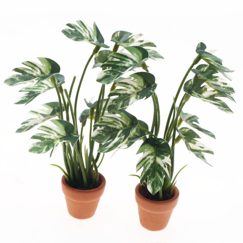 Nowa Wyprzedaż 1/12 Domek dla  – Bonsai Garden For Sale recenzja i cena