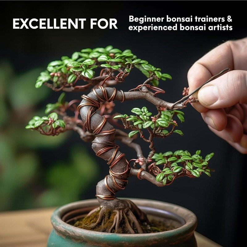 Zestaw drutu do treningu bonsa – Bonsai Tool Set recenzja i cena