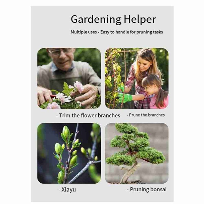 Narzędzia do Bonsai ABGH, 4-cz – Bonsai Tool Set recenzja i cena