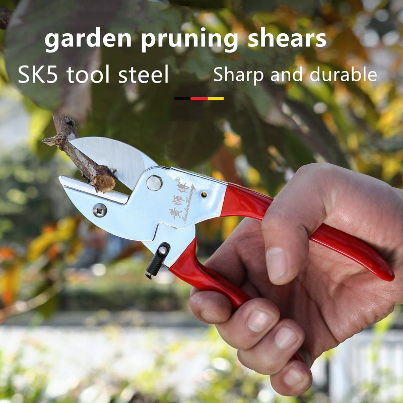 SK5 Stalowe ręczne nożyce ogro – Bonsai Tool Set recenzja i cena